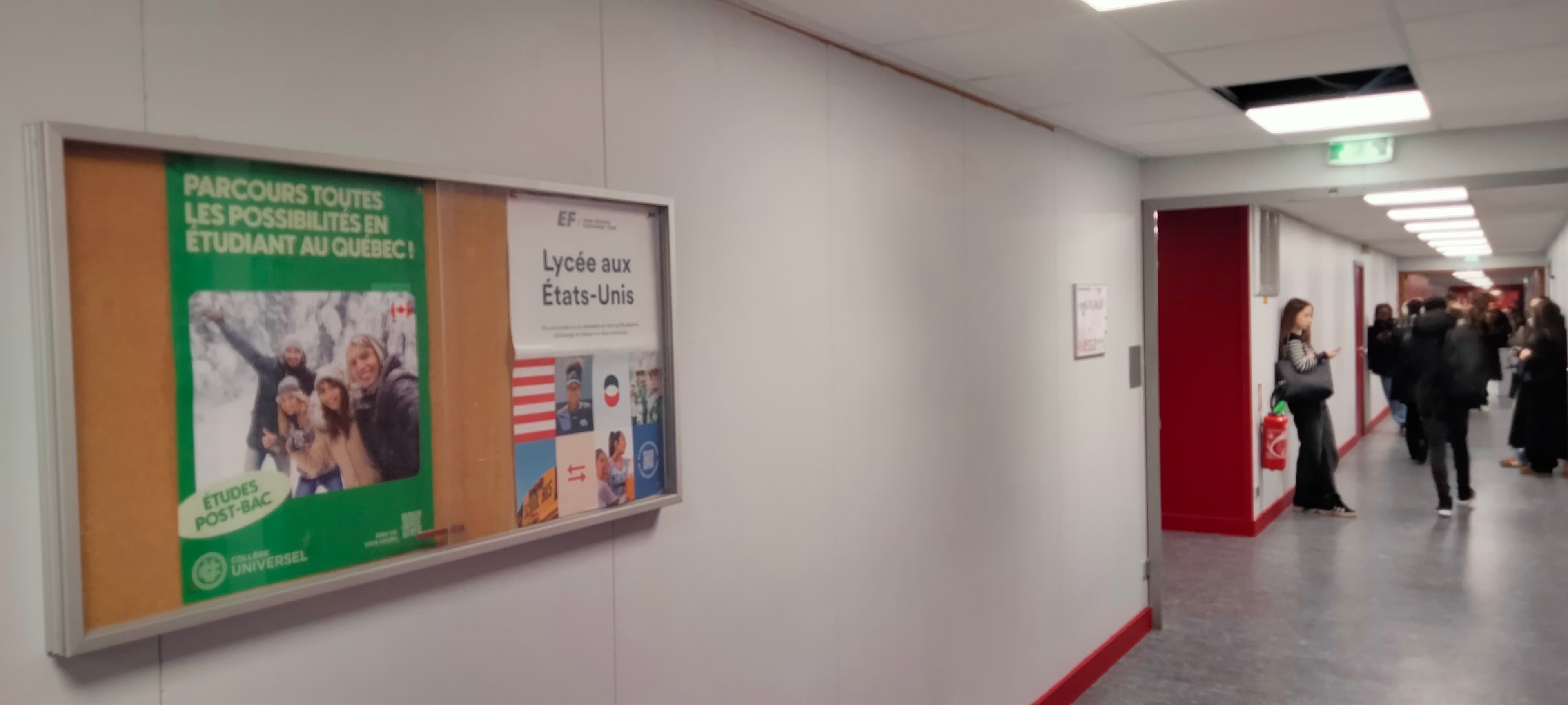 Affiche en vitrine étude à l'étranger